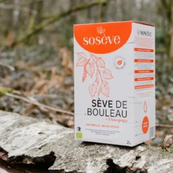 Sève de Bouleau Lactofermentée 5 Bourgeons Bio