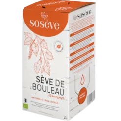 Sève de Bouleau Lactofermentée 5 Bourgeons Bio