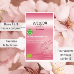 Tisane Allaitement Fruits Rouges Bio