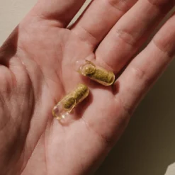 Vitamines Grossesse Baby Bump cure 1 mois